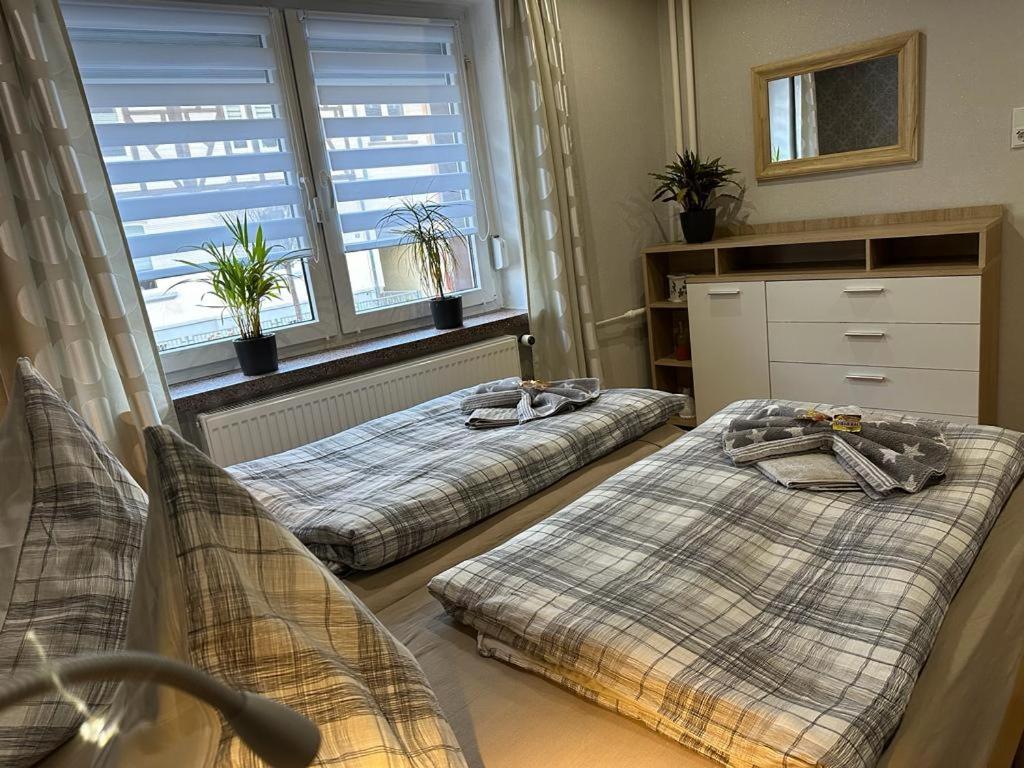 Christels Ferienwohnung 2 In Thale Mit Ueberdachter Terrasse, Kueche Mit Tv & Geschirrspueler Экстерьер фото